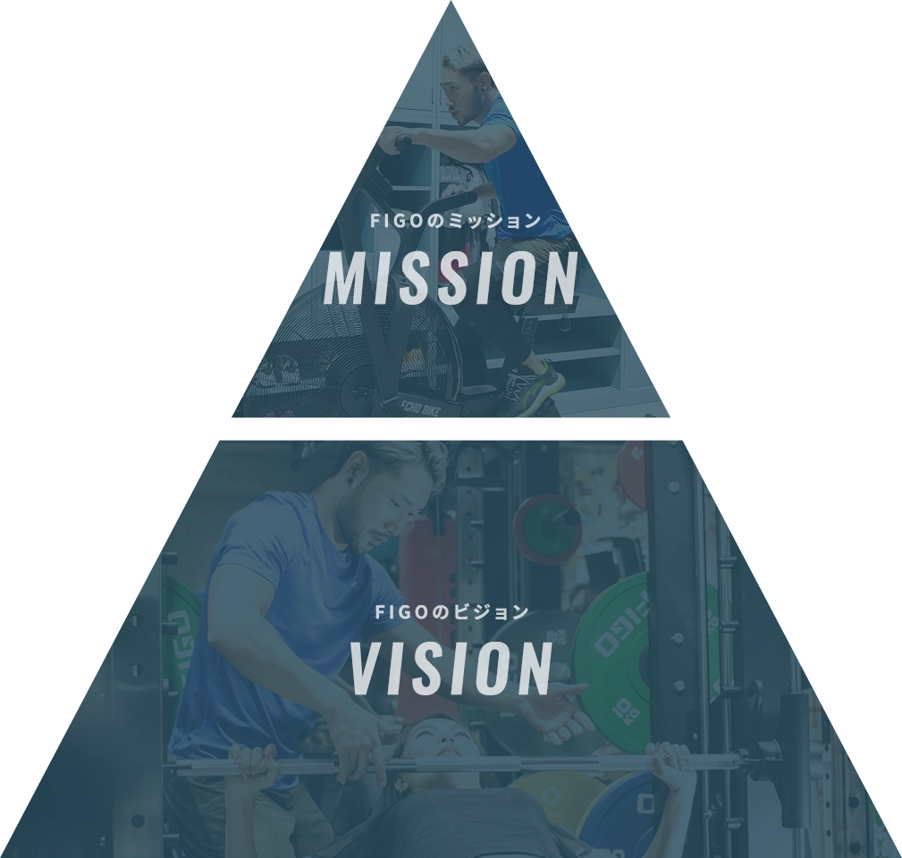 MISSION VALUE